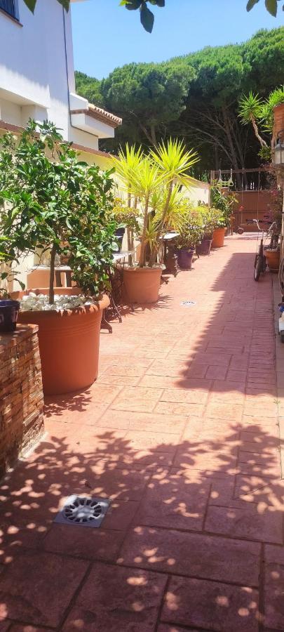 Chalet Con Capacidad Para 8 Personas Chiclana de la Frontera Buitenkant foto